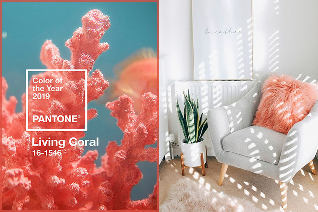 Pantone-2019-Living-Coral.jpg - 日誌用相簿